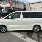 Alphard V MS/AS